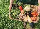 Минсельхоз подвел итоги первого года закона об органической продукции Минсельхоз подвел итоги первого года закона об органической продукции